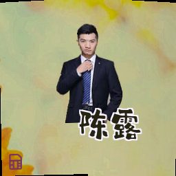 陈露